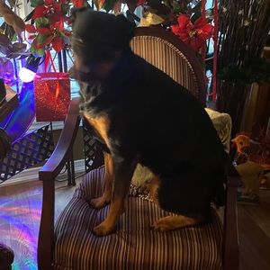 Meet your Posher, Lindsay